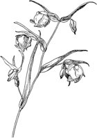 PLF273A.TIF