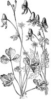 PLF272F.TIF