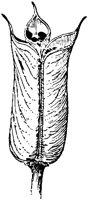 PLF272E.TIF
