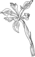PLF272B.TIF
