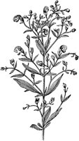 PLF271C.TIF