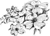 PLF270B.TIF