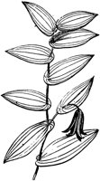 PLF269H.TIF