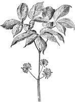 PLF269D.TIF