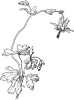 PLF268A.TIF