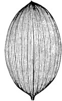 PLF267H.TIF