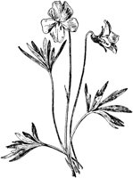 PLF266G.TIF