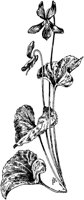 PLF266F.TIF