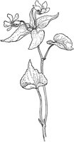PLF266D.TIF