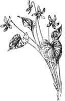 PLF266C.TIF