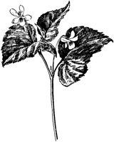 PLF266A.TIF