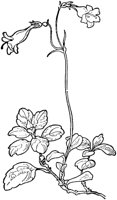 PLF265F.TIF