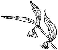 PLF265B.TIF