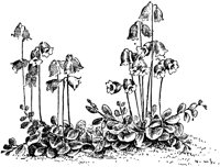 PLF265A.TIF