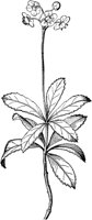 PLF264A.TIF