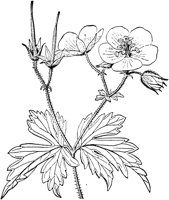 PLF263H.TIF