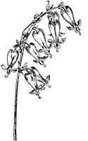 PLF263C.TIF