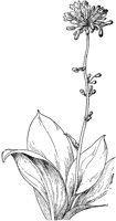 PLF262G.TIF