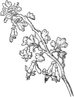 PLF262D.TIF