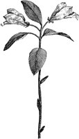 PLF261B.TIF