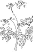 PLF259A.TIF