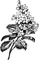 PLF258E.TIF