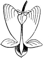 PLF257B.TIF