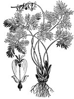 PLF257A.TIF