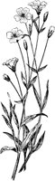 PLF255A.TIF
