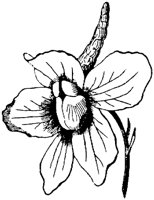 PLF254G.TIF