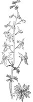 PLF254F.TIF