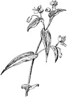 PLF254D.TIF