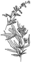 PLF253G.TIF