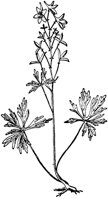 PLF253A.TIF