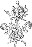 PLF252G.TIF