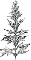 PLF252E.TIF