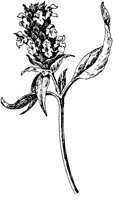 PLF252B.TIF