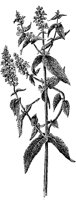 PLF252A.TIF