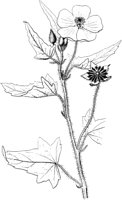 PLF249D.TIF