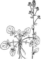 PLF248I.TIF