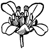 PLF248F.TIF