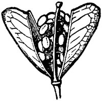 PLF248E.TIF
