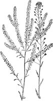 PLF248B.TIF