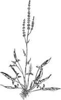 PLF247E.TIF