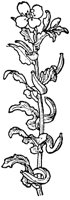 PLF246E.TIF
