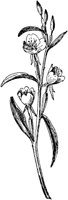 PLF246B.TIF