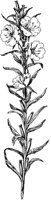 PLF246A.TIF