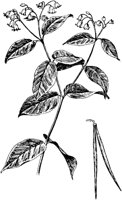 PLF245F.TIF