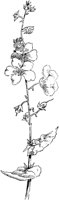 PLF245D.TIF