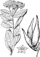 PLF244E.TIF